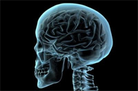 Neuroplastičnost